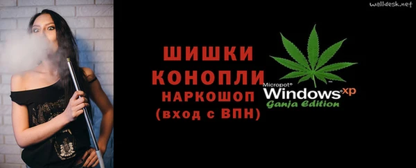 стаф Новокубанск