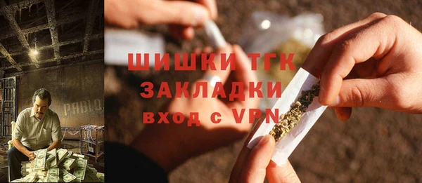 ПСИЛОЦИБИНОВЫЕ ГРИБЫ Абаза