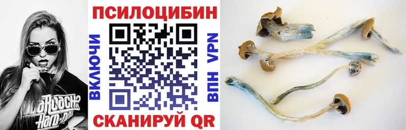 где продают наркотики Томилино Псилоцибиновые грибы MAGIC MUSHROOMS